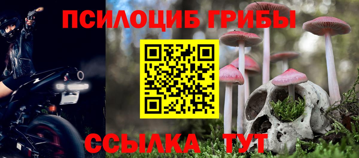 Миллерово  Галлюциногенные грибы Psilocybe  Вход с VPN 